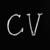 CV académique pour l’étranger