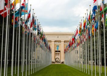 Explorez 20 plateformes de formation gratuites des Nations Unies